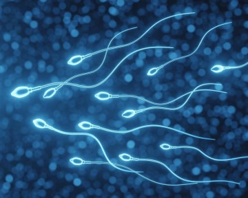 वीर्य दान : निसन्तान दम्पतीका लागि प्रभावकारी